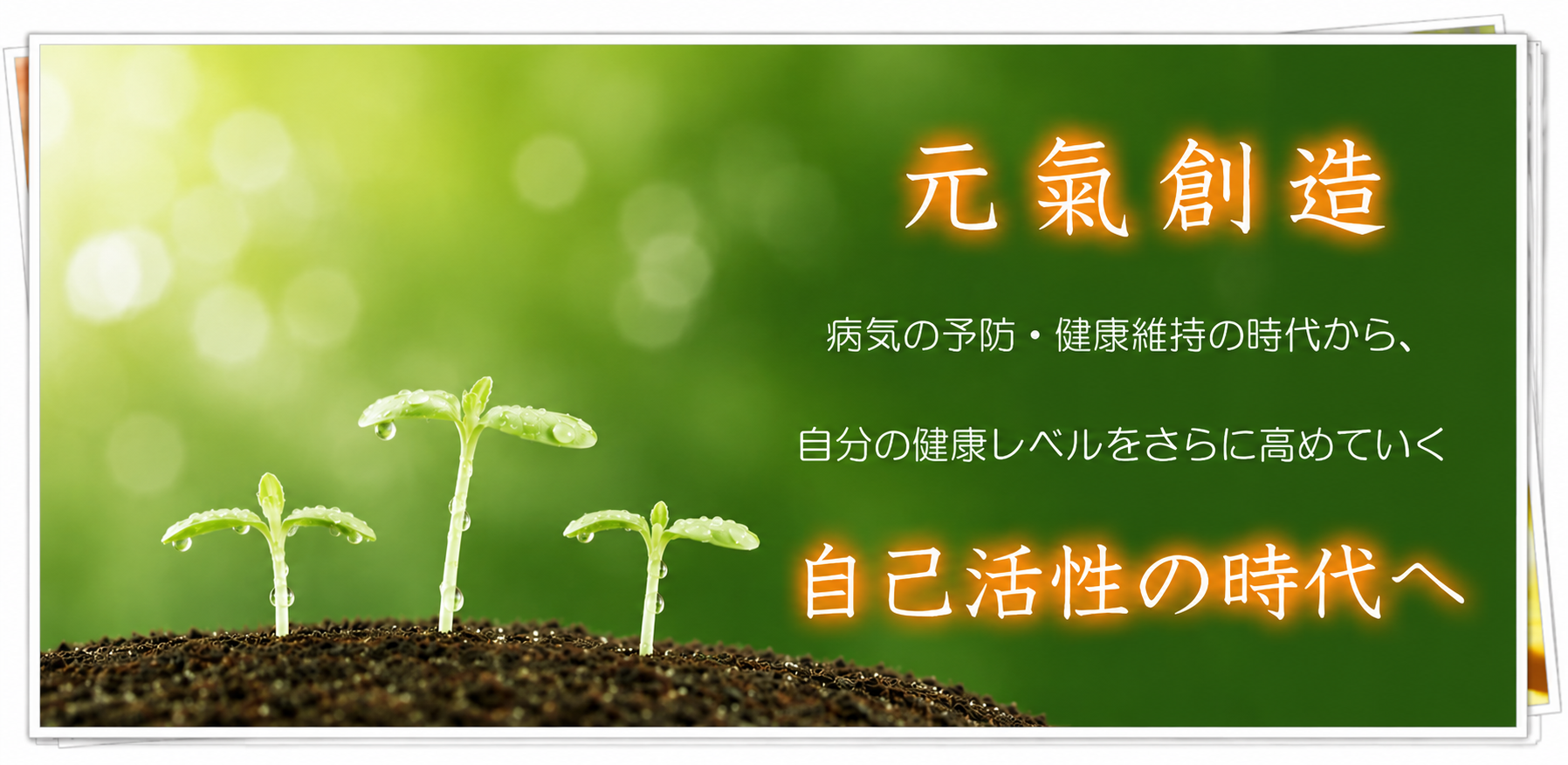 ��ˎs�̑��k���